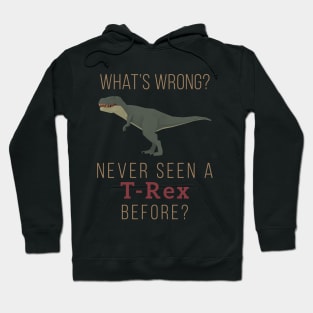 Low Poly T-Rex What's wrong? Never seen a T-Rex before? Hoodie